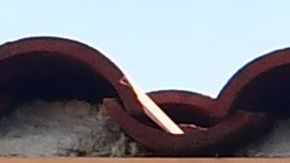 Netflix Hollywood Teatro Egipcio plataformas streaming Los Ángeles