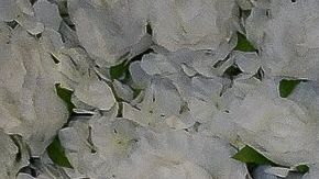 Clan Kardashian-Jenner.