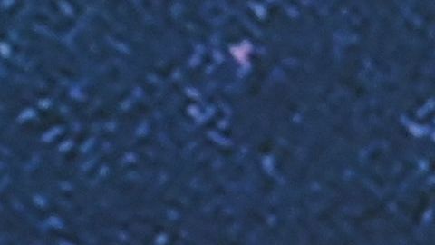 Chris Hemsworth y Elsa pataky dejaron todos sus lujos en Hollywood.