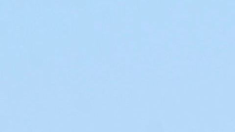 Los visitantes del parque Yellowstone deben permanecer a más de 90 metros de animales como el bisonte.