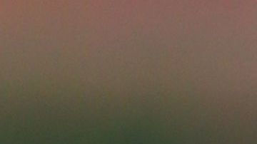 Pedro Martínez, a través de la fundación que lleva su nombre, ha sido uno de los más activos.