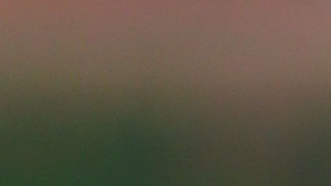 Pedro Martínez, a través de la fundación que lleva su nombre, ha sido uno de los más activos.