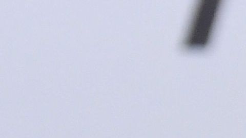 Emily Ratajkowski presume orgullosa la casa que tiene en Los Ángeles.