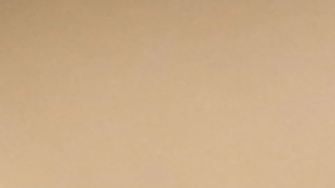 Un avispón asiático vuela el 14 de septiembre de 2019 en Loue, en el noroeste de Francia.