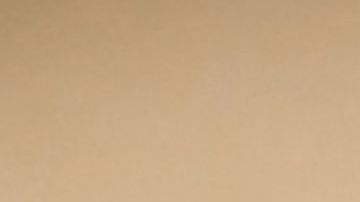 Un avispón asiático vuela el 14 de septiembre de 2019 en Loue, en el noroeste de Francia.