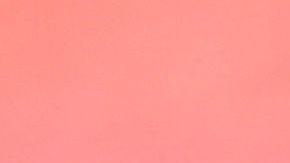 Además de conducir en estado de ebriedad, Ed Oliver portaba ilegalmente un arma.