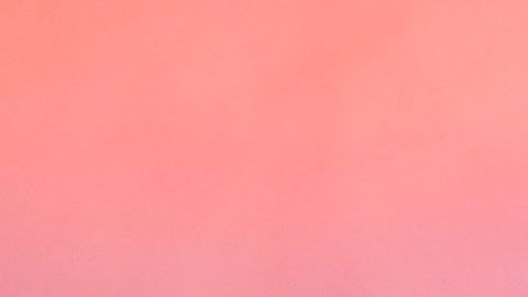 Además de conducir en estado de ebriedad, Ed Oliver portaba ilegalmente un arma.