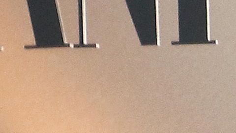 Lindsey Vonn ha compartido distintos momentos con sus mascotas durante la cuarentena.