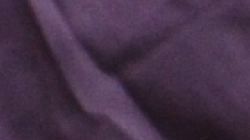 CDC sugiere mantenerse alejados de las ratas.