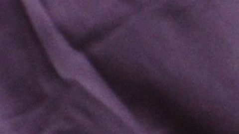 CDC sugiere mantenerse alejados de las ratas.