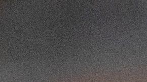 Elon Musk Tesla Alameda California coronavirus COVID-19