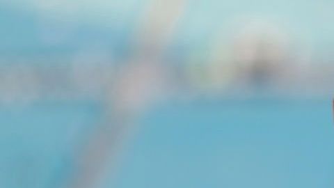 Mike Tyson en un partido de los Jacksonville Jaguars.