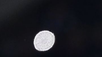 Cristiano Ronaldo entrenando con la Juventus.