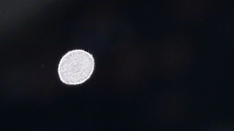 Cristiano Ronaldo entrenando con la Juventus.