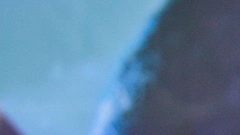 Avril Mathie (izq) tuvo su última pelea el 30 de enero previo al colapso por la pandemia.