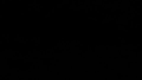 Klobuchar cuando anunció su apoyo a Biden.