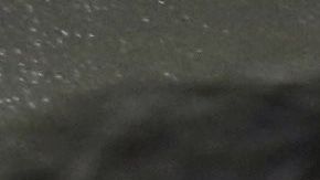 Hotel inodoro elevador gérmenes coronavirus covid-19 botones