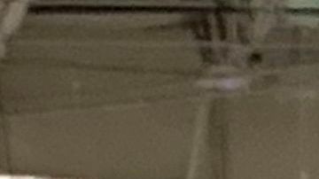 Costco membresía precios ahorro COVID-19 gasolina supermercados