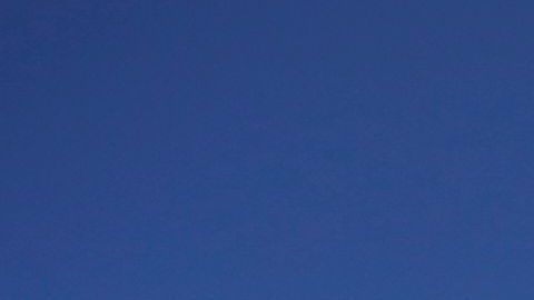 La poligamia está prohibida desde 1890 para los integrantes de la Iglesia Mormona.