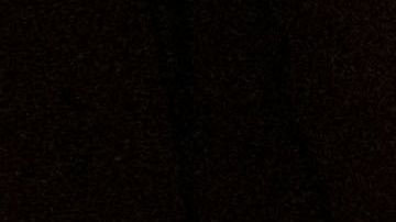 Las audiencias para solicitantes de asilo se reanudarán el 1 de junio.