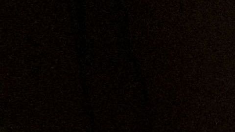 Las audiencias para solicitantes de asilo se reanudarán el 1 de junio.