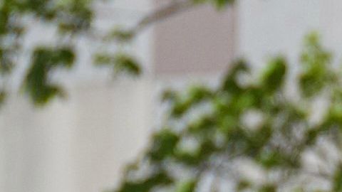 Grupos exigen reabrir los comercios en Carolina del Norte.