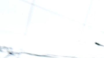 Mujeres hispanas en un banco de comida en Massachusetts.