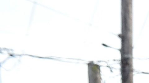 Mujeres hispanas en un banco de comida en Massachusetts.