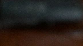 Whats App Signal cifrado legisladores seguridad ciberataques EARN IT Facebook Agencia de Seguridad Nacional NSA Wickr seguridad