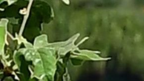 Las filas de los bancos de alimento se siguen alargando.