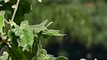 Las filas de los bancos de alimento se siguen alargando.