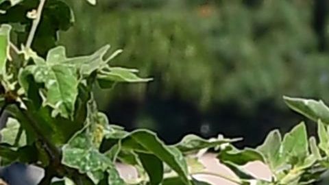 Las filas de los bancos de alimento se siguen alargando.