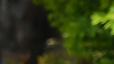 El fabricante del fármaco calcula que el suministro actual podría ser suficiente hasta para 200,000 tratamientos.