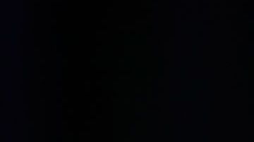 Al parecer, Musk y su suegra no se llevan muy bien.