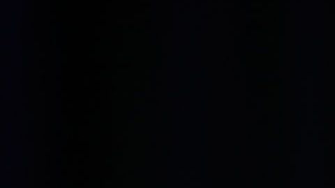 Al parecer, Musk y su suegra no se llevan muy bien.