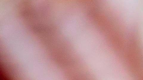 Las concentraciones continúan pese a que los estados han flexibilizados las medidas contra COVID-19.