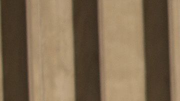 Tyson Food Donald Trump carne pollo coronavirus COVID-19 Indiana Logansport desinfección trabajadores bonos