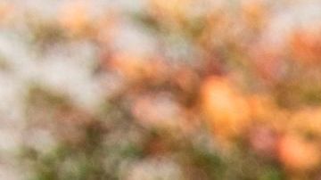 Las pruebas no son rigurosas para tomar decisiones basadas en sus resultados.