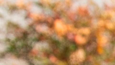 Las pruebas no son rigurosas para tomar decisiones basadas en sus resultados.