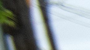 Organizaciones sin fines de lucro se han unido a la lucha contra el hambre