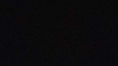 El 22% de los empleados en suministro de alimentos son inmigrantes.