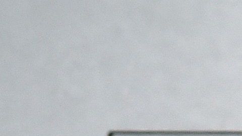 Desempleo coronavirus COVID-19 trabajo dinero cheque ayuda económica