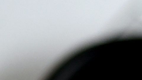 Desempleo coronavirus