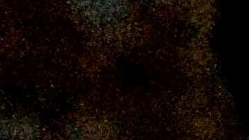 Protestas en diferentes lugares de EE.UU. piden liberar a todos los migrantes.