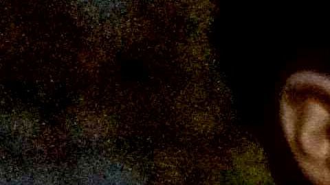 Protestas en diferentes lugares de EE.UU. piden liberar a todos los migrantes.