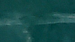 Joe Biden ganó la elección primaria en Nebraska.