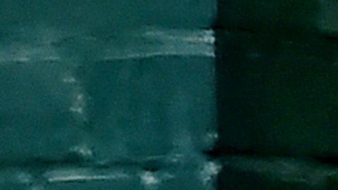 Joe Biden ganó la elección primaria en Nebraska.