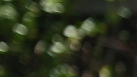 Neoyorquinos reciben alimentos en la despensa de Voices of Hagar en la iglesia de San Marcos AME, en Queens.