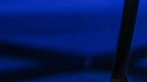 Un vendedor en un mercado en Wuhan, China, el 15 de mayo de 2020.