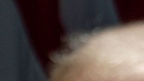 Fauci aseguró que llevaría mascarilla en sus paseos y caminatas.